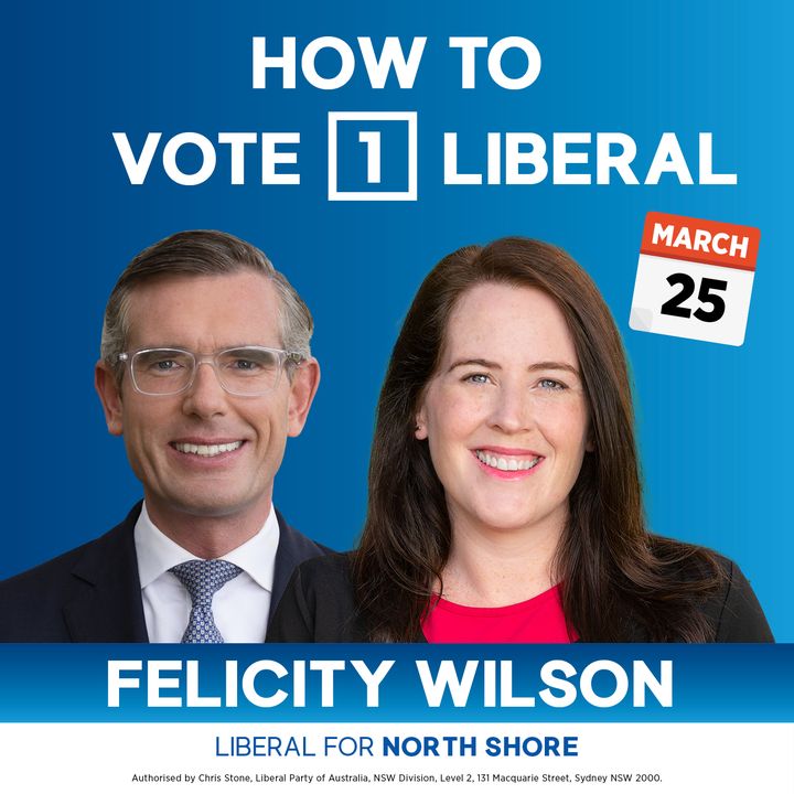 Felicity Wilson MP